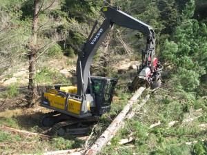 Forestry (3) 